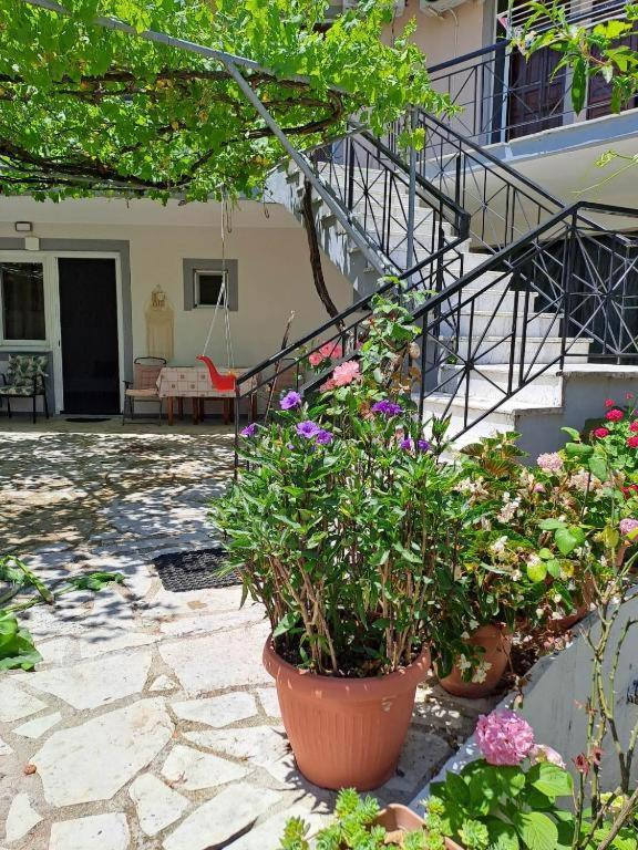 Nikiana Family Apartment Екстериор снимка